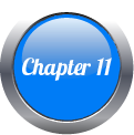 Chapter 11