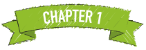 Chapter 1 - How to Play Blackjack