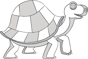 tortoise