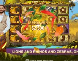 safari-riches-live-slot
