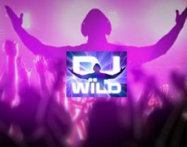 dj wild