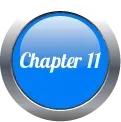 Chapter 11