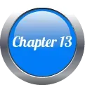 chapter 13