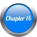 Chapter 16