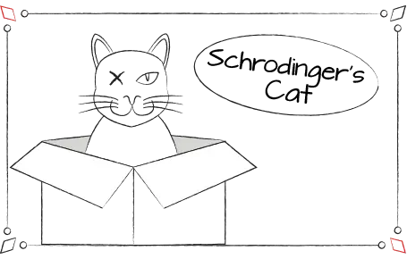 Schrodinger Cat