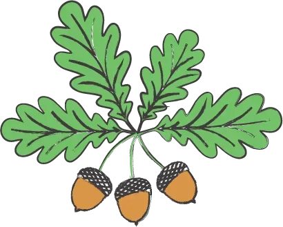 Oak Growth