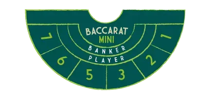 Mini Baccarat Table