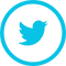 Share on Twitter